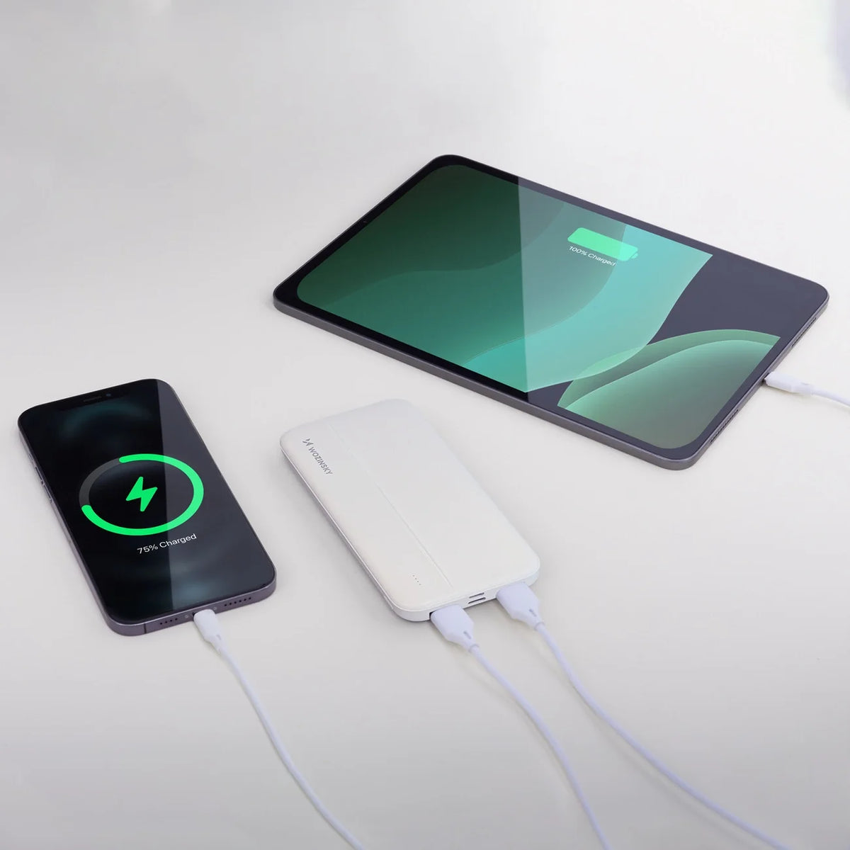 Wozinsky Powerbank Li-Po 10000mAh 2 x USB Branco (WPBWE1)