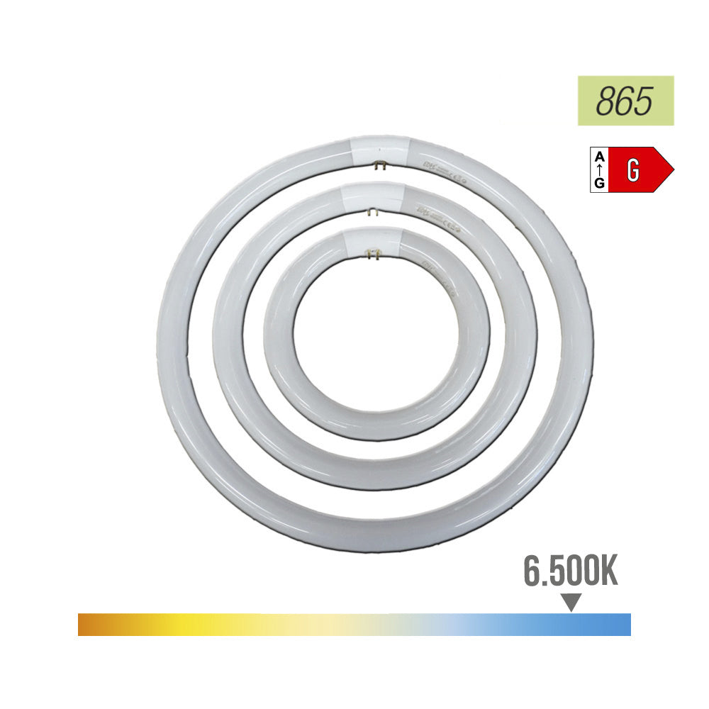 Tubo Circular Fluorescente Philips 22W Ø21cm Trifósforo 6500K Luz Fria
